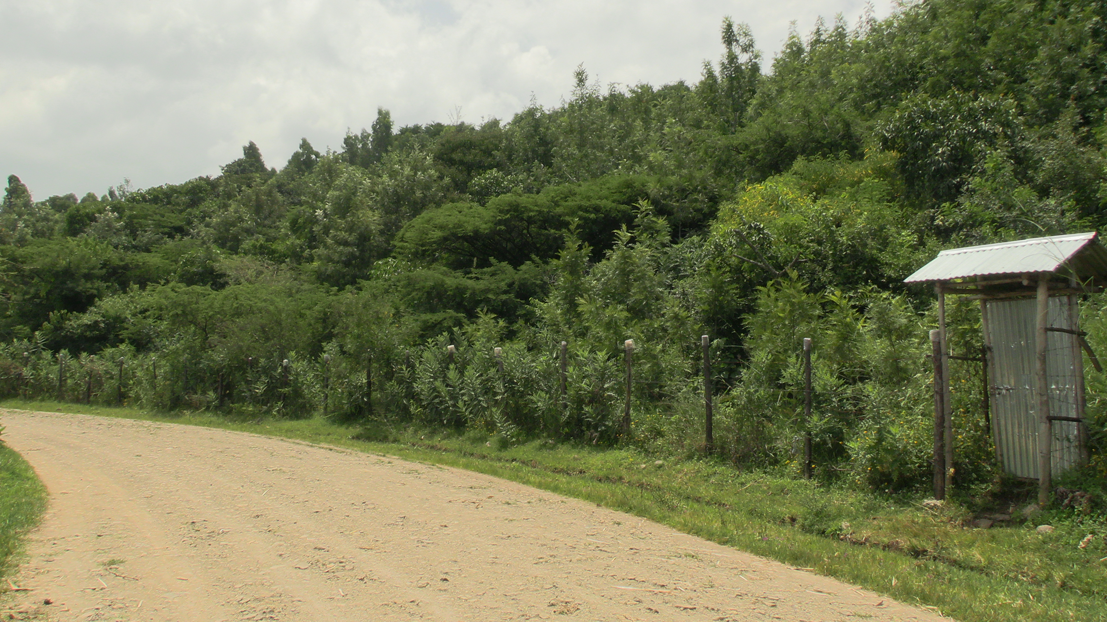 Natural Resource Conservation